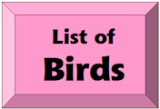 List of Birds